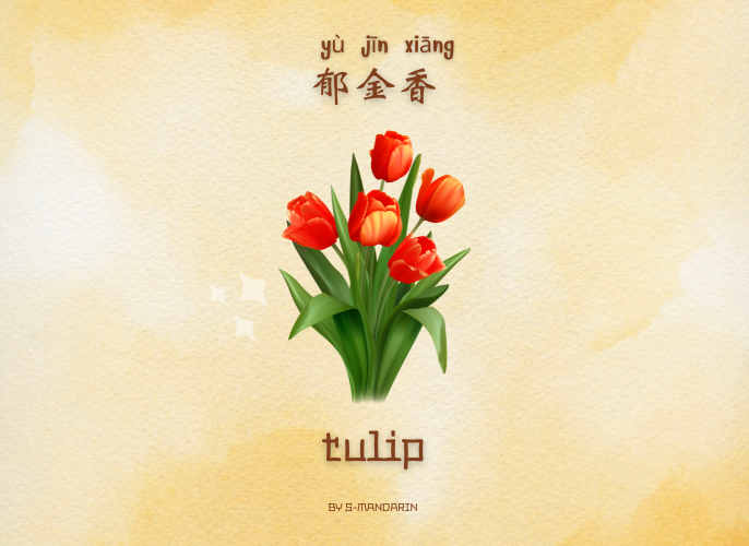 เรียนการพูดภาษาจีนเพื่อให้เกิดความชำนาญในการสนทนา จะต้องใช้แอพ S-Mandarin,Chinese learning,language learning