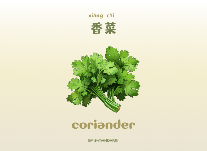 เรียนการพูดภาษาจีนเพื่อให้เกิดความชำนาญในการสนทนา จะต้องใช้แอพ S-Mandarin,Chinese learning,language learning