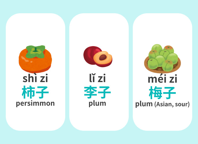 【Vocab】Words that end with “子”—5