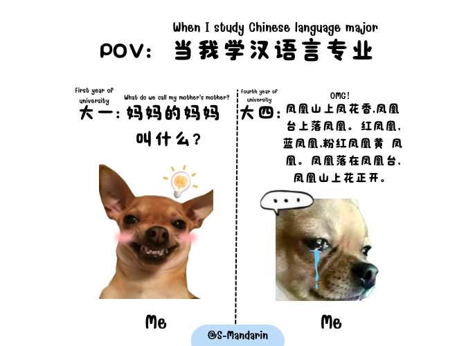 【meme】When I study chinese language major