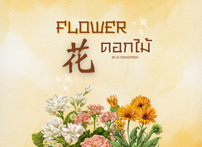 เรียนการพูดภาษาจีนเพื่อให้เกิดความชำนาญในการสนทนา จะต้องใช้แอพ S-Mandarin,Chinese learning,language learning