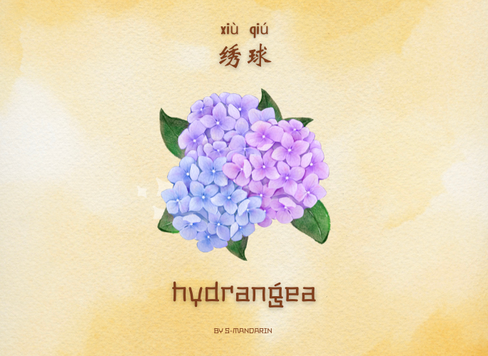 เรียนการพูดภาษาจีนเพื่อให้เกิดความชำนาญในการสนทนา จะต้องใช้แอพ S-Mandarin,Chinese learning,language learning