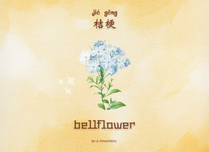 เรียนการพูดภาษาจีนเพื่อให้เกิดความชำนาญในการสนทนา จะต้องใช้แอพ S-Mandarin,Chinese learning,language learning