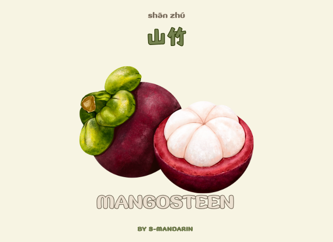 เรียนการพูดภาษาจีนเพื่อให้เกิดความชำนาญในการสนทนา จะต้องใช้แอพ S-Mandarin,Chinese learning,language learning