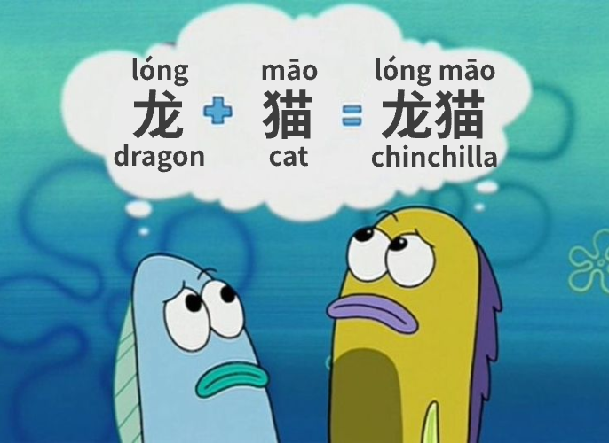 【Vocab】龙猫 lóng māo