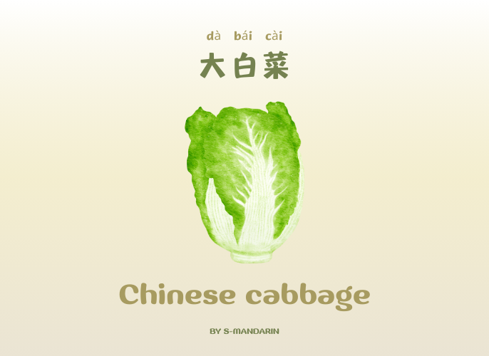 เรียนการพูดภาษาจีนเพื่อให้เกิดความชำนาญในการสนทนา จะต้องใช้แอพ S-Mandarin,Chinese learning,language learning