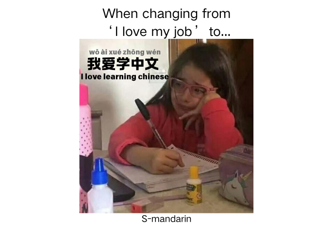 【meme】I love learning chinese